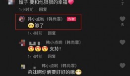 张小寒爆料汪小菲视频,真相背后引人深思