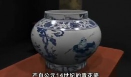 瓷器爆料视频播放网站,热门爆料视频网站带你领略瓷器之美