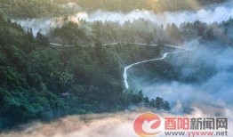 重庆酉阳新闻如何爆料,聚焦民生热点，共筑和谐家园