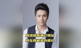 爆料周迅陈坤视频大全最新,揭秘两人幕后故事与情感纠葛