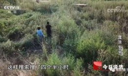 荒地手机在线观看,探索未知领域的视觉盛宴