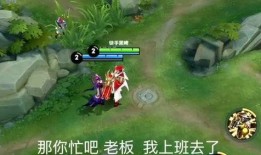 王者小鲁班爆料视频大全,揭秘游戏幕后故事与精彩瞬间