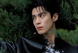 娱乐大爆料王鹤棣,娱乐大爆料中的璀璨星辉