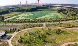 黄河公园爆料视频播放,揭秘公园美景与神秘事件