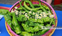 吃瓜爆料广西视频,视频揭秘当地热点事件