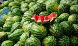 临夏网红浪山吃瓜事件,一场网络狂欢背后的争议与反思