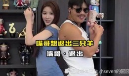 嘎纳夫妻爆料事件视频播放,真相与争议交织