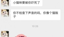 吃瓜微信免费聊天记录,一场趣味横生的社交盛宴