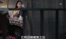 爆料小孩姐姐是谁啊视频,爆料视频中的小孩姐姐身份之谜