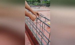 娱乐吃瓜酱扎钢筋,揭秘网红扎钢筋背后的故事