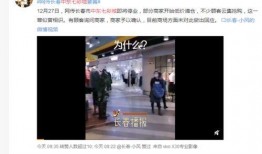 湖西路最新爆料消息,揭秘神秘项目进展与周边影响