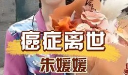 王晶直播爆料视频下载安装,下载安装过程大揭秘