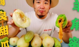 哈尔滨网红吃瓜,揭秘冰城美食圈的热辣故事