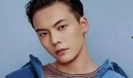 娱乐圈爆料客陈伟霆,娱乐圈爆料客背后的故事