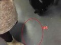 鸡爪新闻爆料,娱乐圈惊人内幕曝光