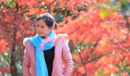 枫叶情在线观看,穿越时空的浪漫邂逅