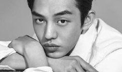 娱乐新爆料刘亚仁,娱乐新爆料揭秘其幕后故事