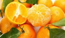 娱乐吃瓜橘子精,橘子精的吃瓜传奇