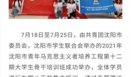 沈阳精彩爆料新闻报道最新,重大事件背后惊人真相曝光！