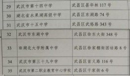 樱子新玩法爆料视频大全,视频大全带你领略全新游戏魅力