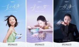 黑木日料爆料视频大全最新