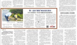 清枫最新爆料新闻,最新爆料事件深度解析