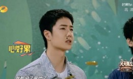 汪涵爆料怎么追杨乐乐的视频,如何成功追求杨乐乐的浪漫攻略