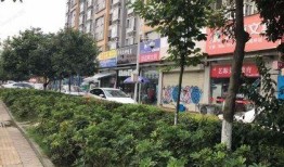 开源嘉苑爆料事件视频,事件背后真相曝光