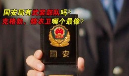 中国国安局最新爆料,深度解析我国网络安全与反间谍斗争”