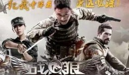 战狼2在线观看完整版,燃情热血，震撼视听的国产军事巨制！