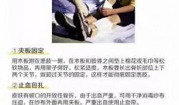 乐山家长爆料遭遇视频,家校沟通困境引热议