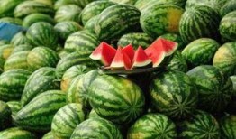 泰国西瓜最新爆料新闻,揭秘神秘事件背后的真相