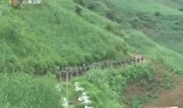 富宁县新闻爆料,突发事件引发关注，详情即将揭晓