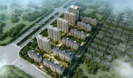 开源嘉苑爆料事件视频,事件背后真相曝光