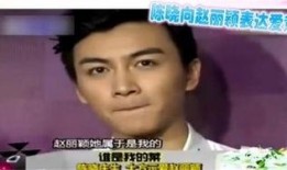 爆料娱乐圈陈晓是谁,娱乐圈爆料背后的明星真相