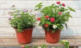 超体地图最新爆料视频大全,最新爆料视频大全深度解析