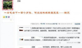 娱乐大爆料下一句,揭秘明星幕后故事，下一句惊人内幕即将揭晓