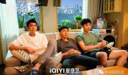 警察荣誉被爆料了吗视频,真相与争议的交织