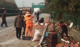 杞县柿园车祸最新爆料新闻,悲剧现场细节披露，伤亡情况引关注