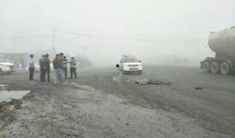 杞县柿园车祸最新爆料新闻,悲剧现场细节披露，伤亡情况引关注