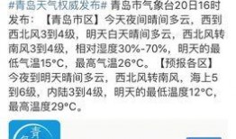 周口一高爆料事件最新,真相与争议交织，校园风波再起