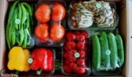 钛9吃瓜爆料最新进展,最新进展揭秘，真相即将浮出水面