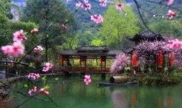 重庆酉阳新闻如何爆料,聚焦民生热点，共筑和谐家园